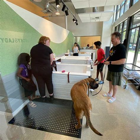 dog boarding stone mountain ga|atlanta pet care.